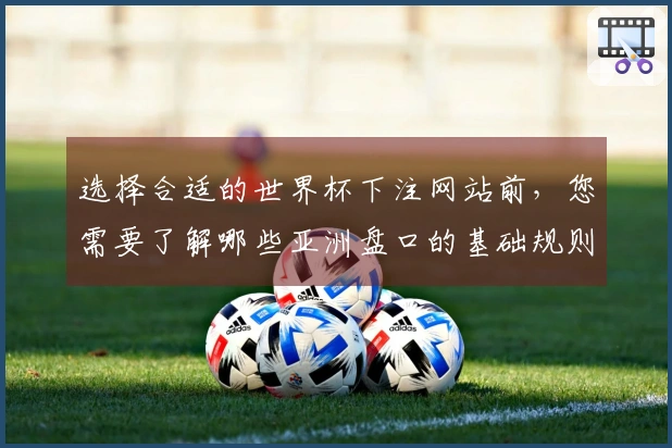 选择合适的世界杯下注网站前，您需要了解哪些亚洲盘口的基础规则和判断标准？