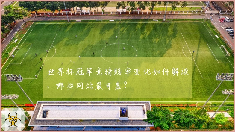 世界杯冠军竞猜赔率变化如何解读，哪些网站最可靠？