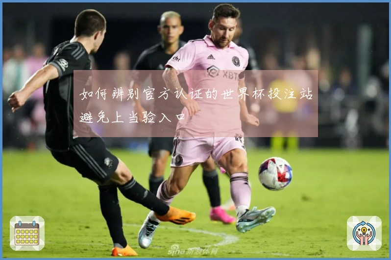 如何辨别官方认证的世界杯投注站避免上当验入口