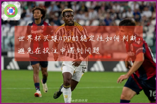 世界杯买球app的稳定性如何判断，避免在投注中遇到问题